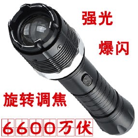 黑鹰HY-8810型号高压电棍